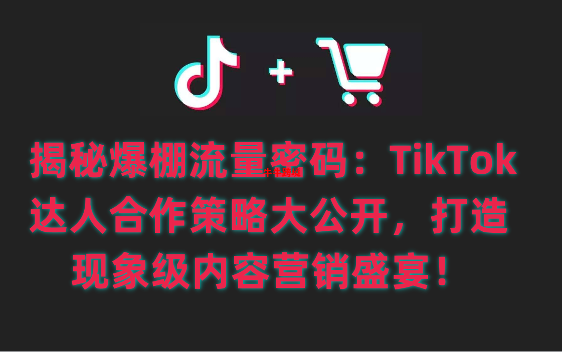 揭秘爆棚流量密码：TikTok达人合作策略大公开，打造现象级内容营销盛宴！